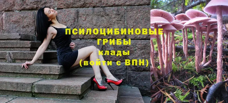 Псилоцибиновые грибы ЛСД  Голицыно 